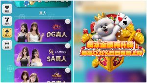 小熊娛樂城評價