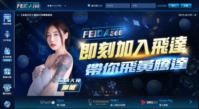飛達娛樂城玩家的個人資料是否容易被泄露？