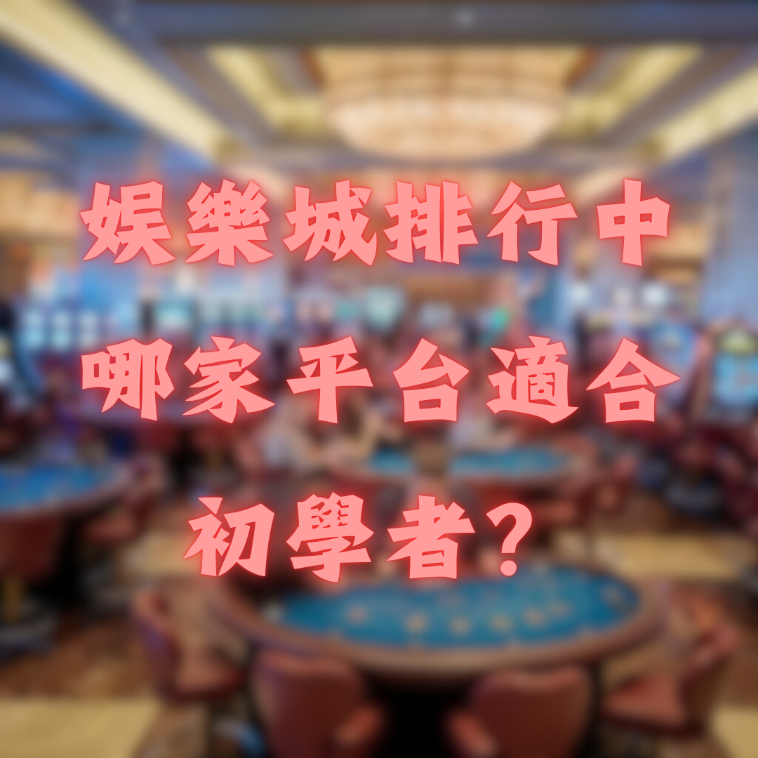 2026年娛樂城排行中，哪家平台適合初學者？