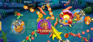 捕魚機出分週期